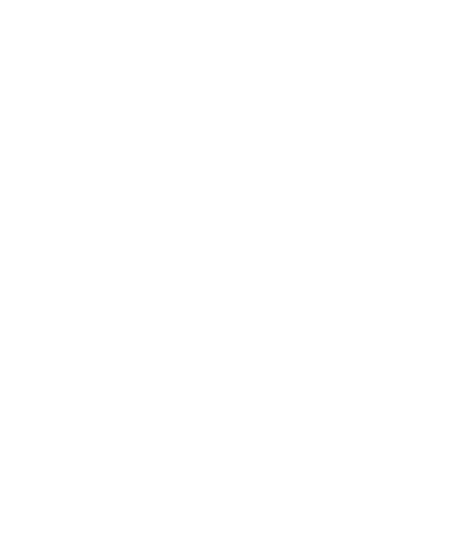 dx5 logo