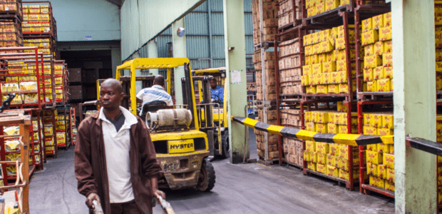Bidco in 6-year, Kshs 45 million IT infrastructure management deal with IBM