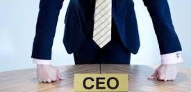15 steps to become a CEO success