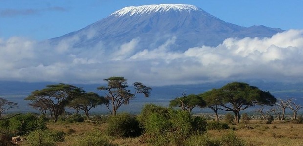 Follow Mycroft’s attempt to be first female quadriplegic up Kilimanjaro online