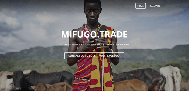 Mifugo.trade seeking $100k to digitise livestock trading in Kenya, OPIC,