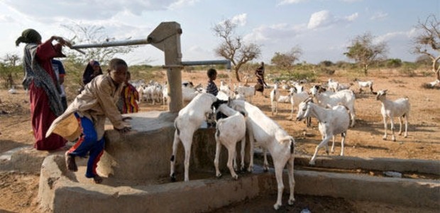 Pastoralists in Kenya at well with their goats (Photo courtesy