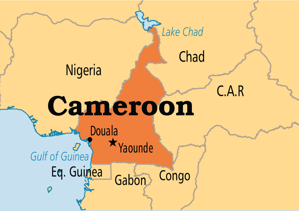 Paradigm Initiative condemns internet shutdown in Cameroon