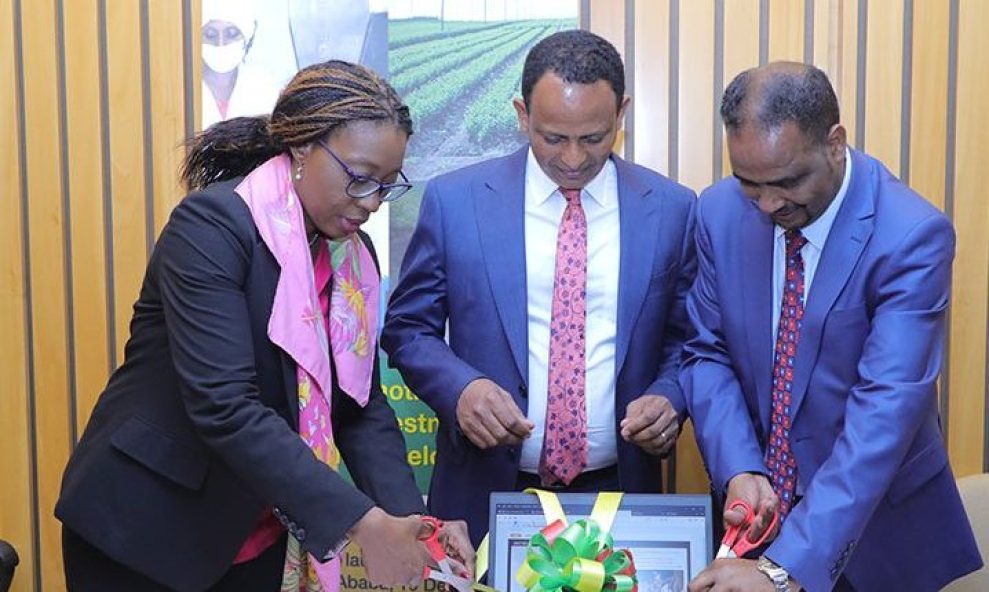 Ethiopia goes digital in a bid to attract investors