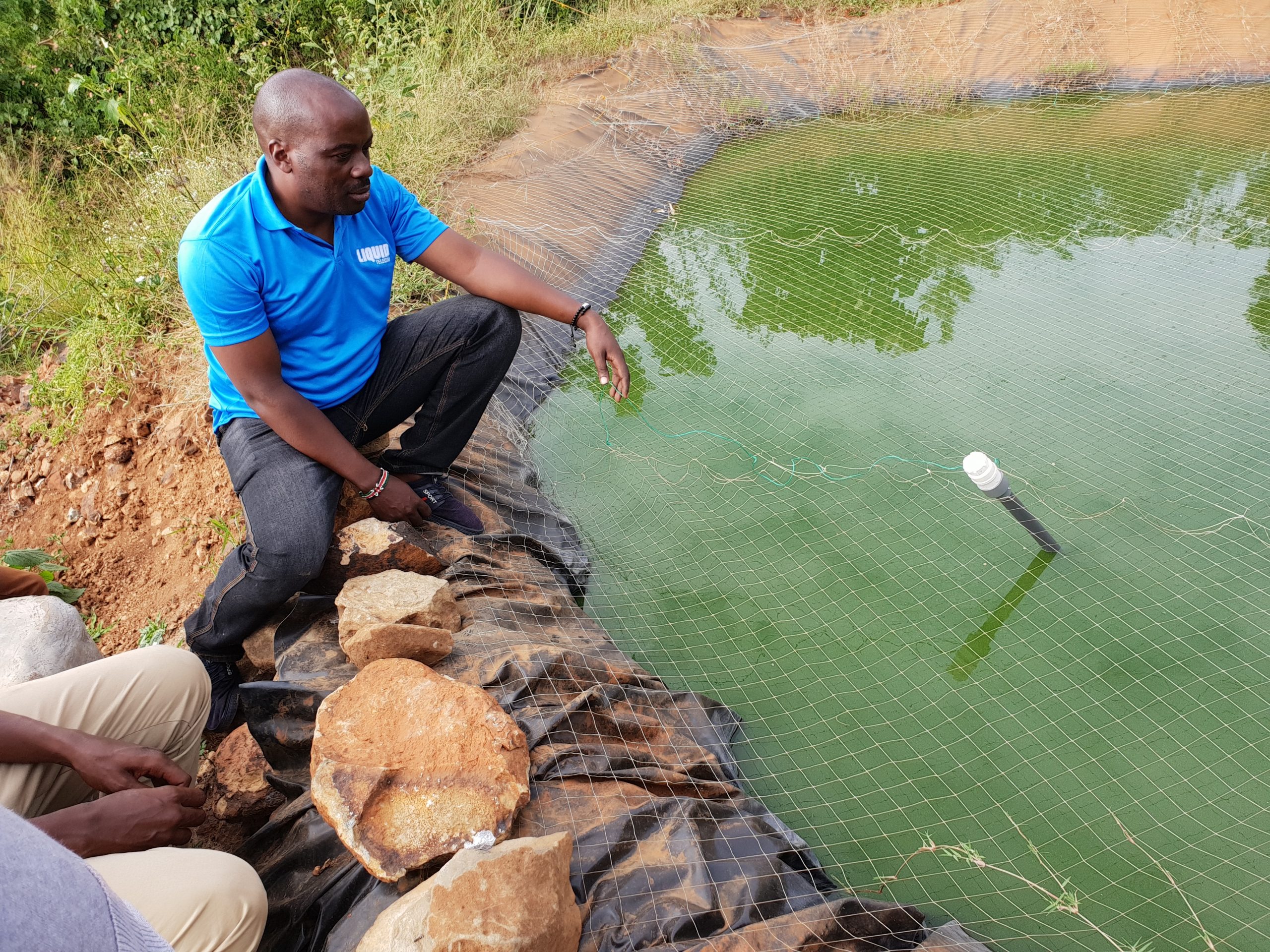 Liquid Telecom Kenya uses Internet of Things for fish farming in Kenya