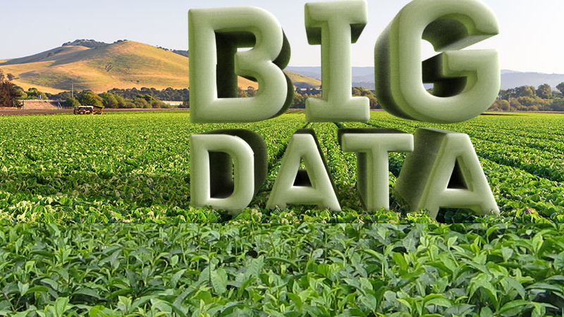 Big data Project increases Ugandan smallholder yields, incomes by 70%