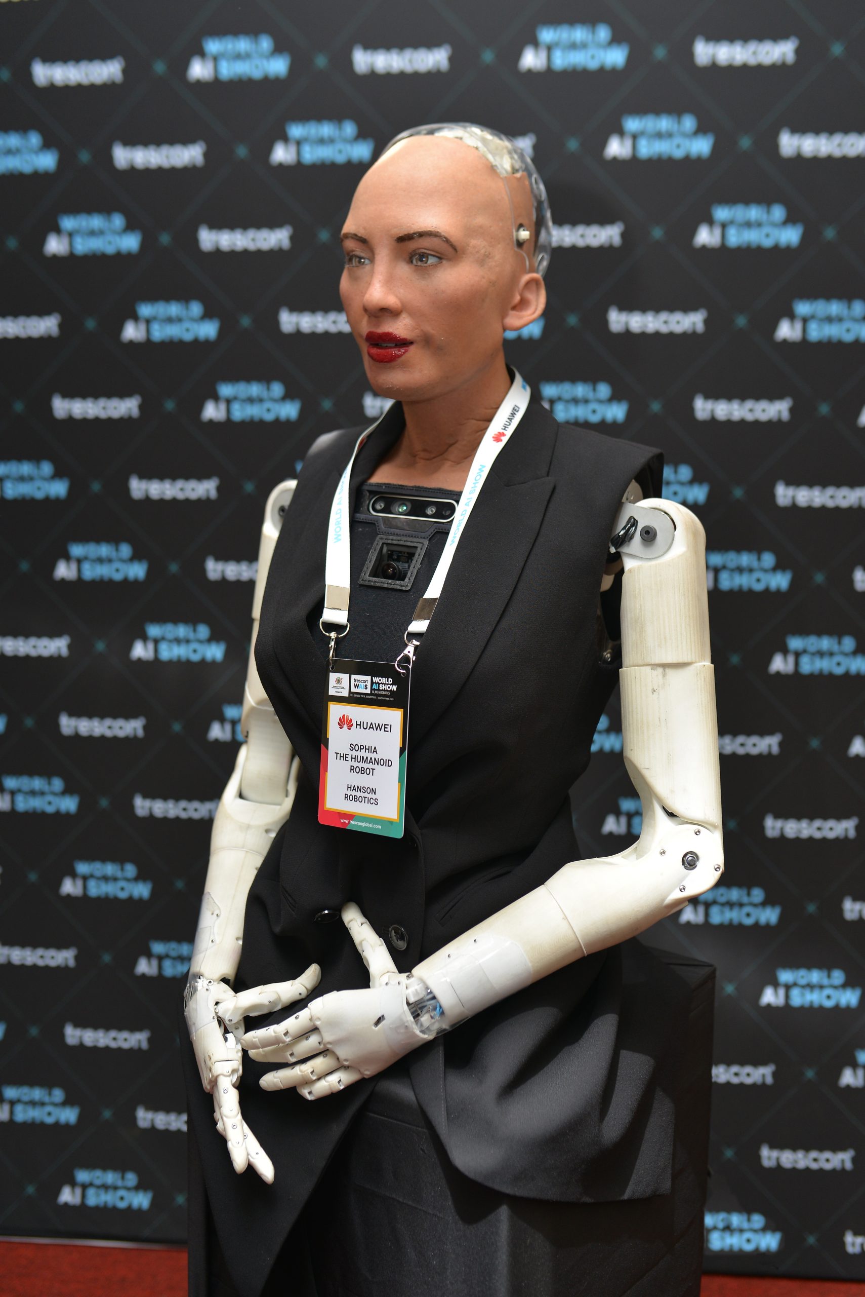 Sophia the humanoid robot