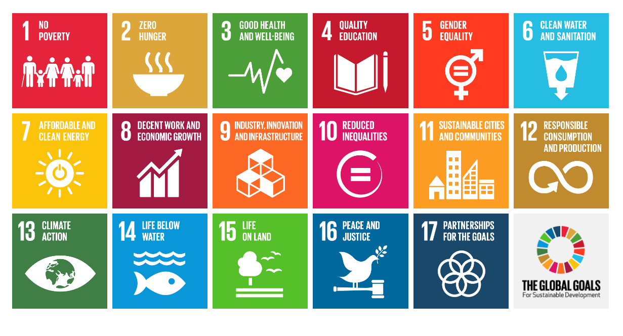 Beyond policy and public investment: The SDG imperative for business