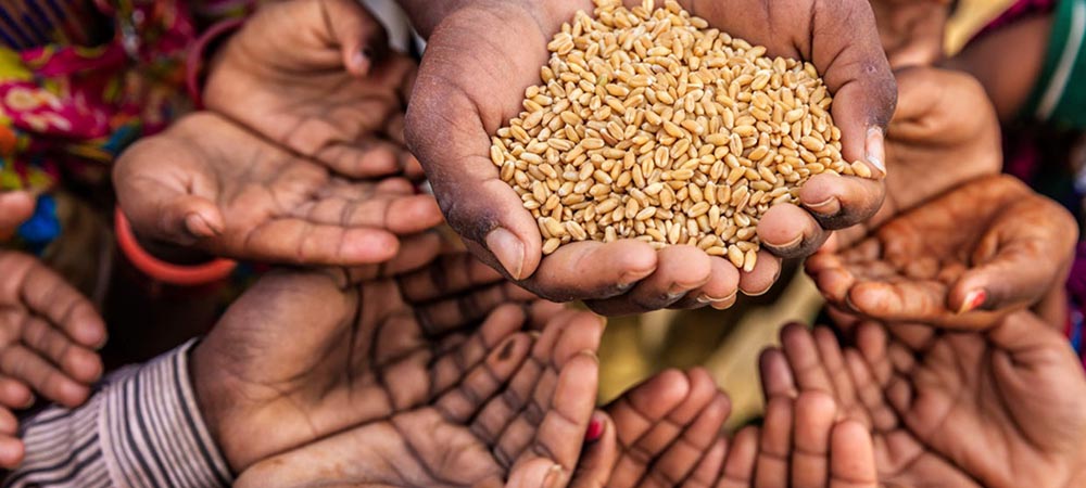 Can Cloud-Based Technologies Help Address Food Insecurity In Africa?