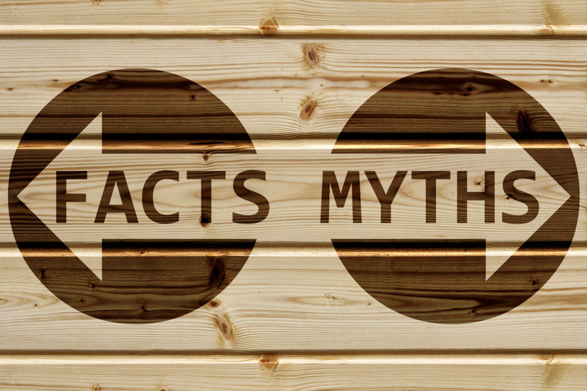 7 IT Governance Myths