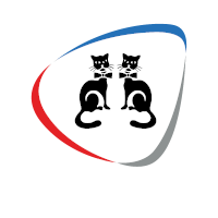 Copy Cat Group