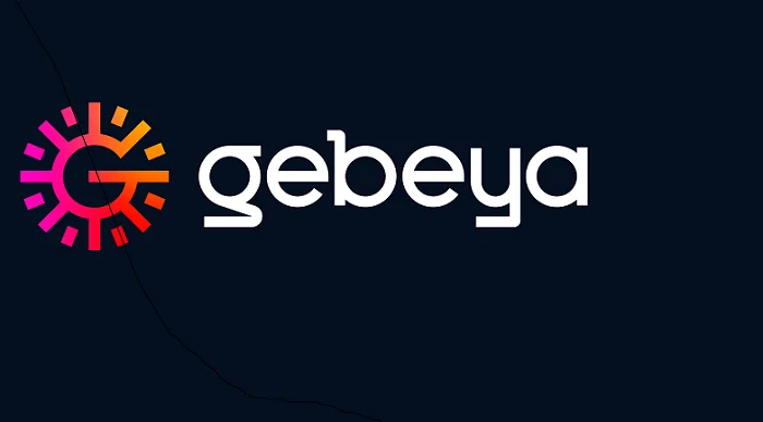 Through Gebeya's talent cloud solutions, professionals across various sectors can access opportunities aligned with their skills and interests.