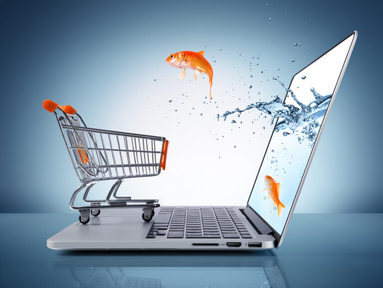 Last Frontier To Unlock Africa’s E-Commerce Potential