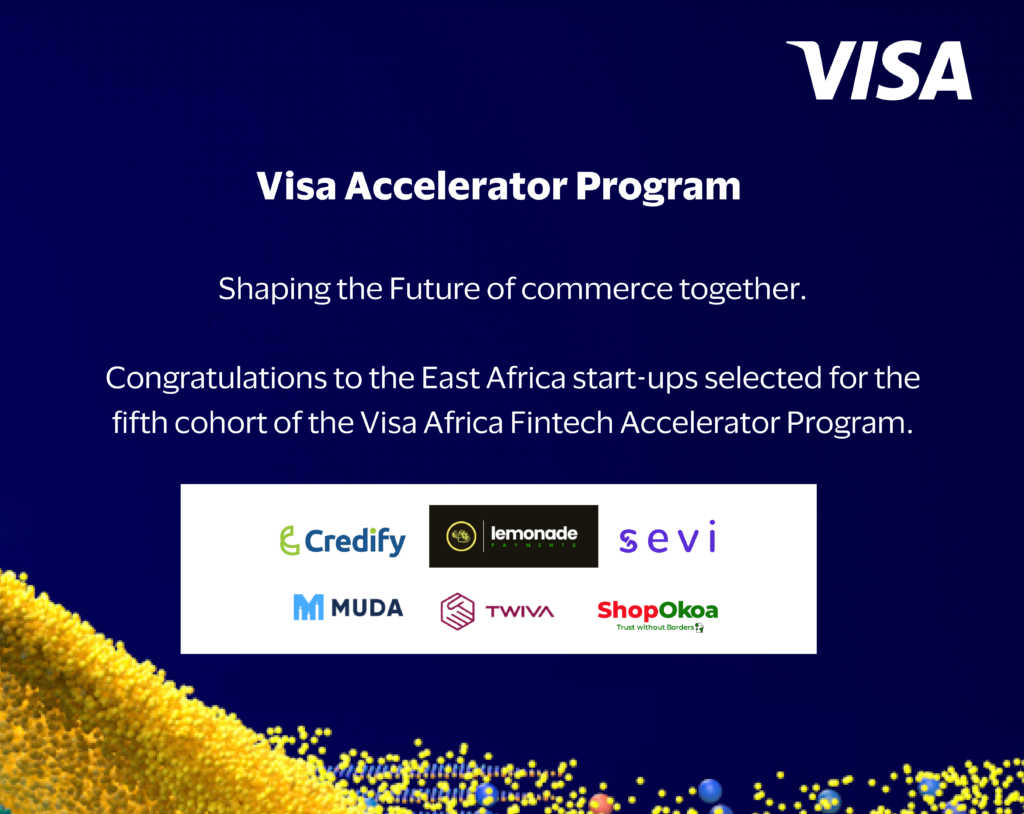 Visa Africa Fintech Accelerator Program Opens | CIO Africa