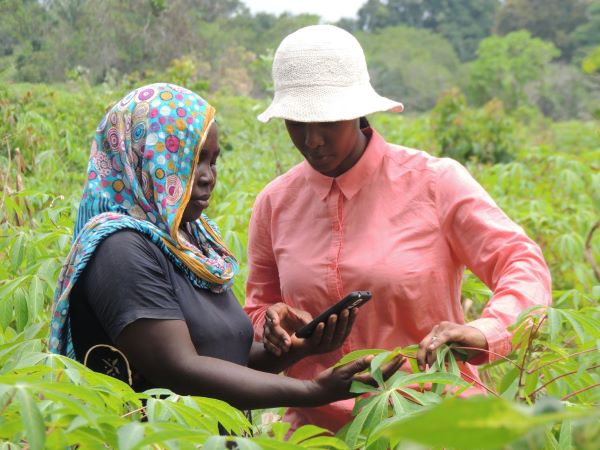 Millions of young farmers across West Africa are re-inventing everyday social media platforms, transforming them into agricultural tools