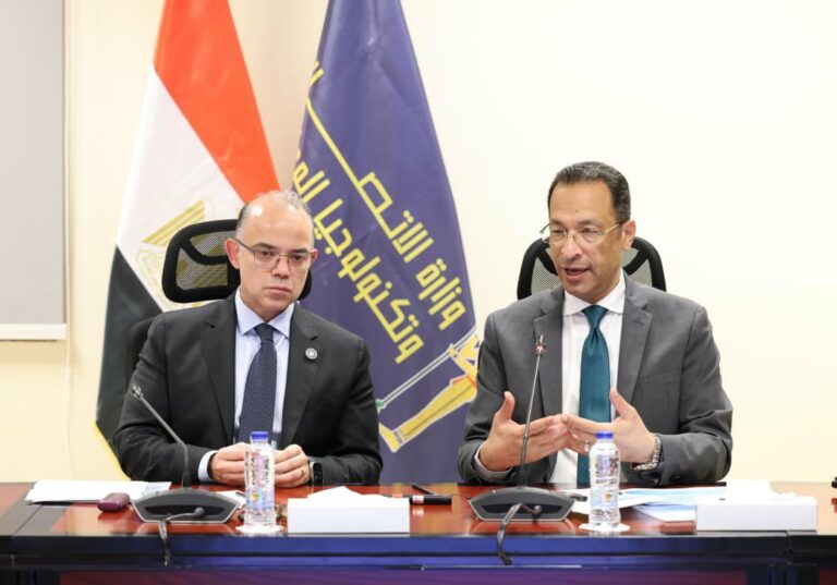 Egypt Unlocks Semiconductor Export Incentives