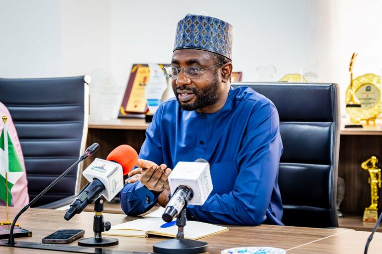 Nigeria To Require Independent Software Testing For Government IT Projects